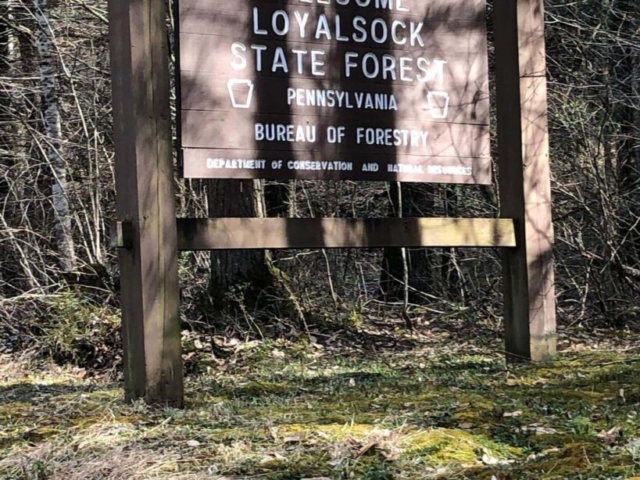 Public Lands Ride - 2021 - Loyalsock State Forest - Worlds End State Park - Loyalsock State Forest Sign