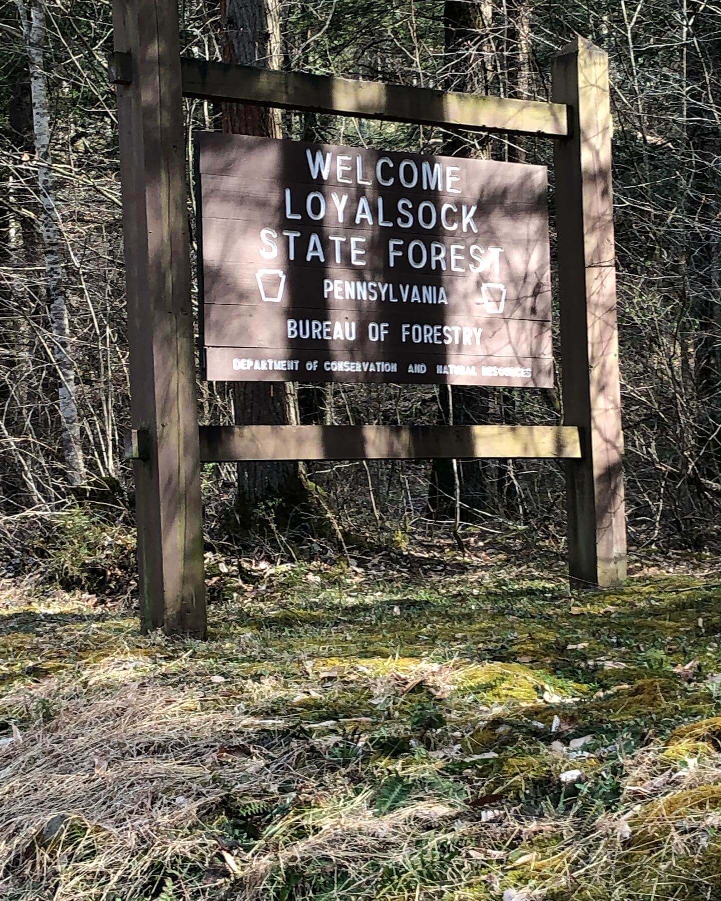 Public Lands Ride - 2021 - Loyalsock State Forest - Worlds End State Park - Loyalsock State Forest Sign