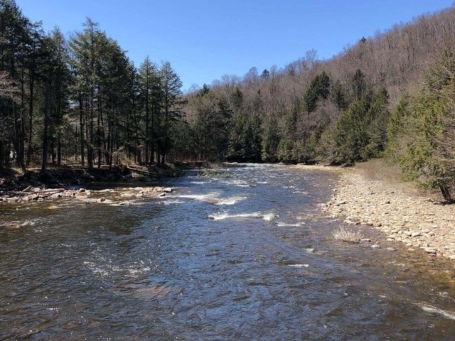 Public Lands Ride - 2021 - Loyalsock State Forest - Worlds End State Park - Loyalsock Creek in Worlds End State Park