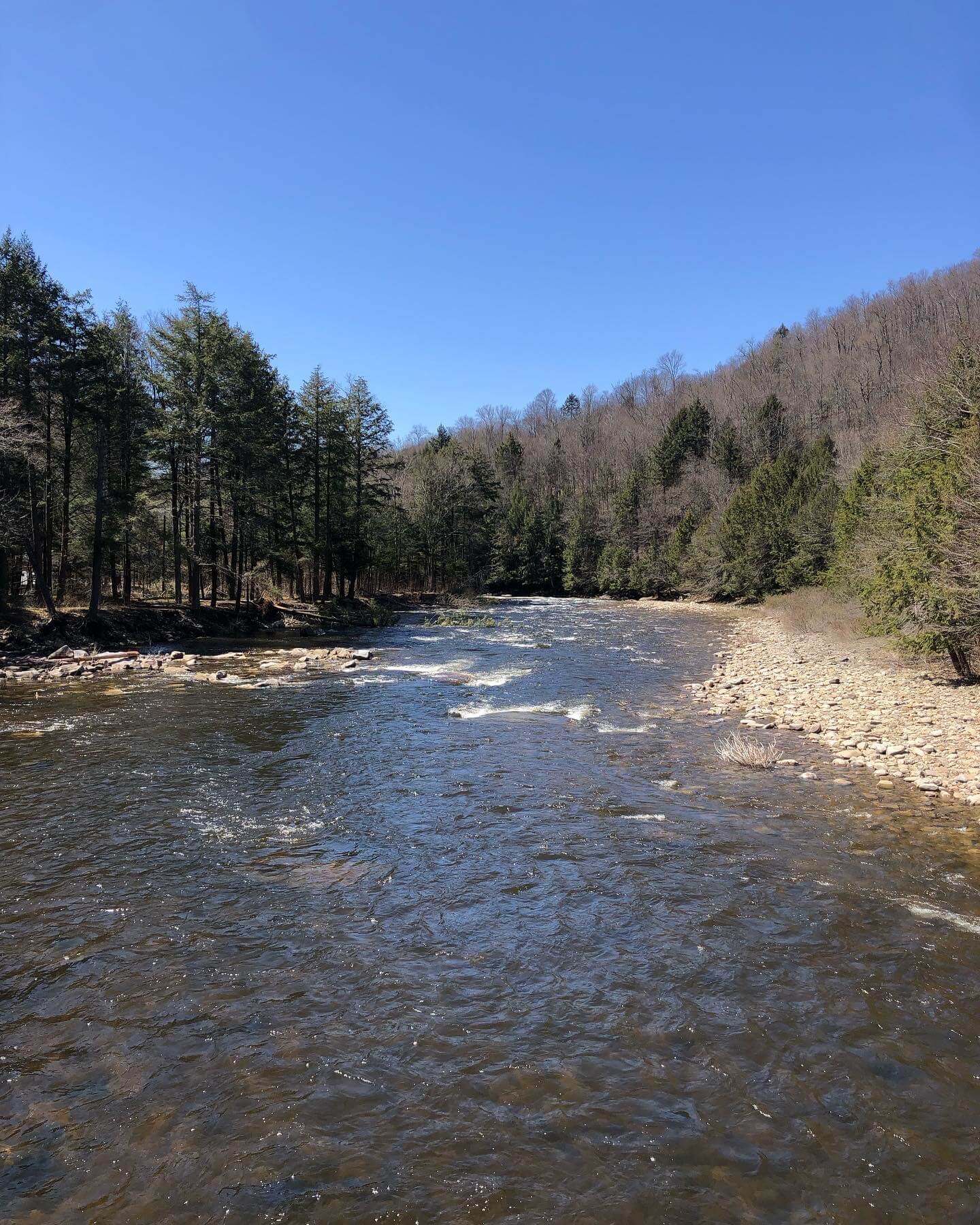 Public Lands Ride - 2021 - Loyalsock State Forest - Worlds End State Park - Loyalsock Creek in Worlds End State Park