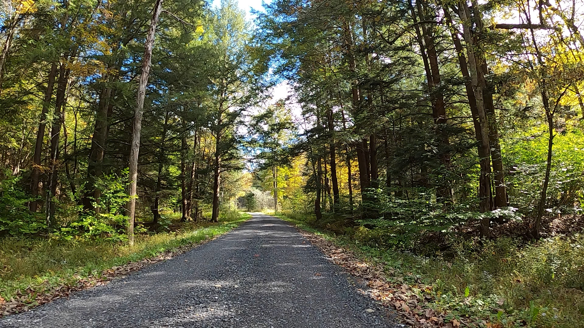 Public Lands Ride - 2021: Elk State Forest - The Unpaved Hub