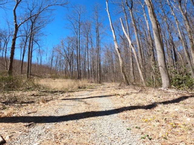 Mt. Streams Trail Tour - Trail Opens up