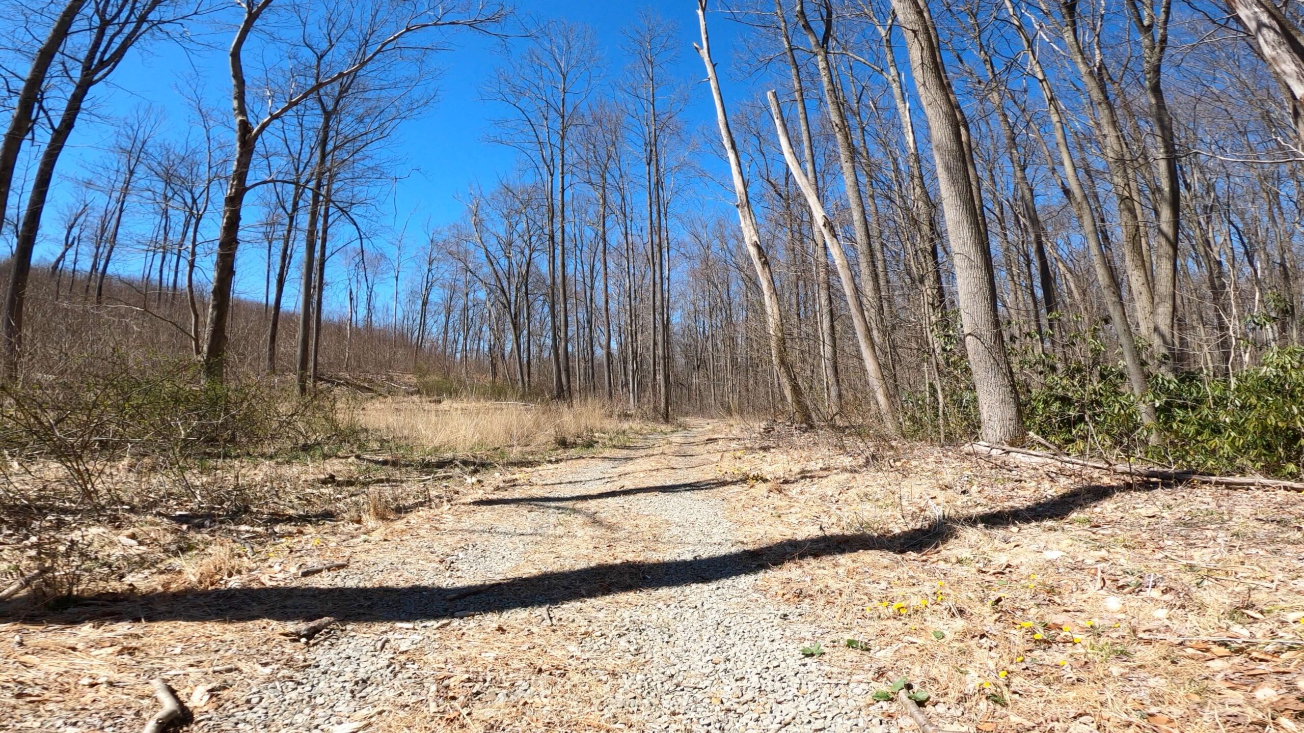 Mt. Streams Trail Tour - Trail Opens up