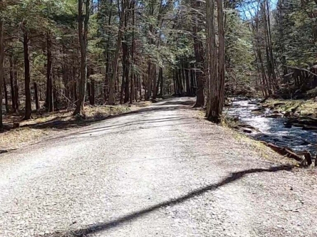 Public Lands Ride - 2021 - Loyalsock State Forest - Worlds End State Park - Serene Water Along Shanersburg Road Before Key Climb