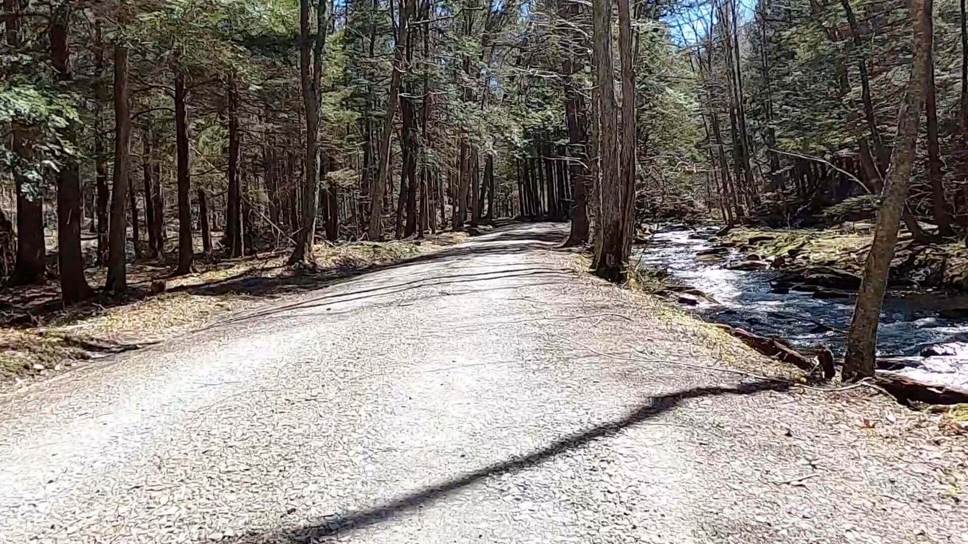 Public Lands Ride - 2021 - Loyalsock State Forest - Worlds End State Park - Serene Water Along Shanersburg Road Before Key Climb