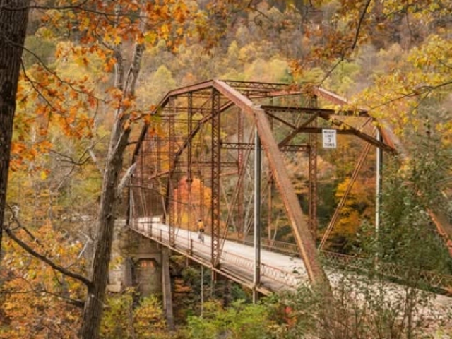 Mountaineer Monster - Jenkinsburg Bridge