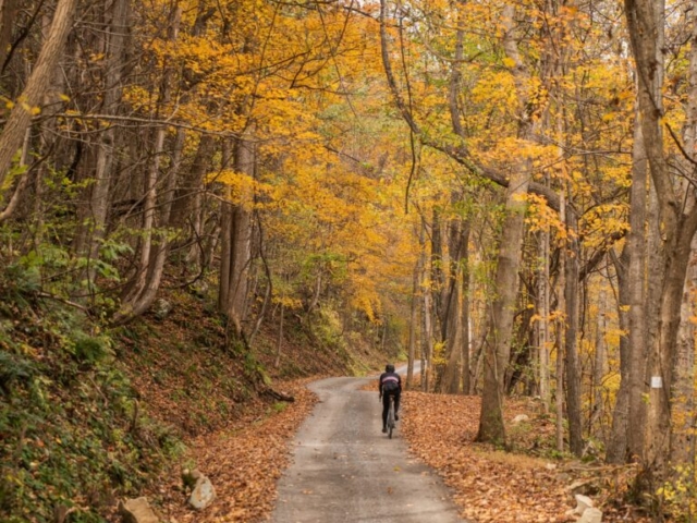 Mountaineer Monster - Jenkinsburg Bridge Climb out