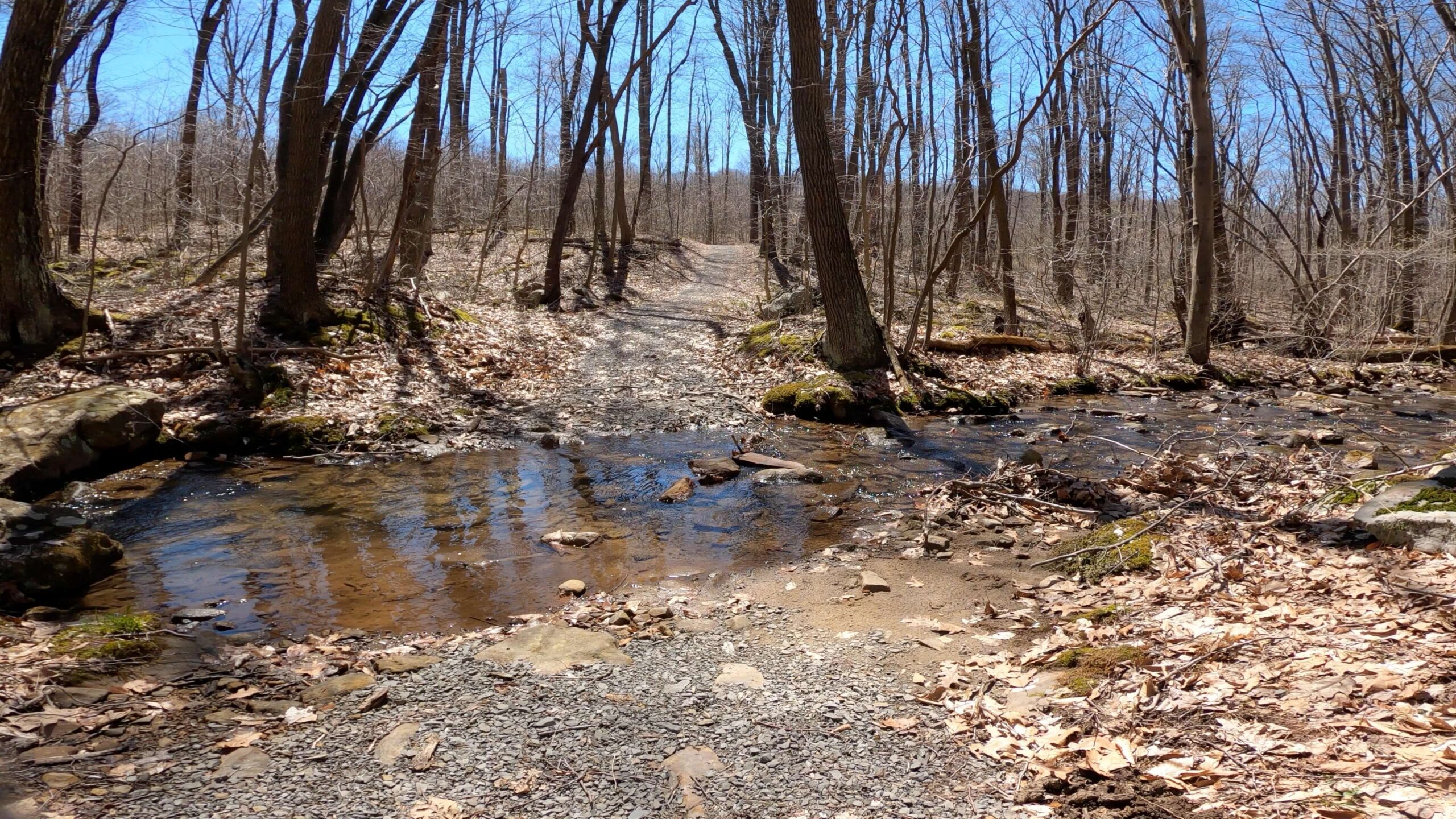 Mt. Streams Trail Tour - Stream Crossing