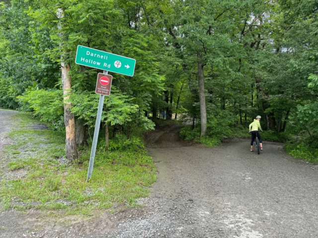 Mountaineer Monster - Darnell Hollow