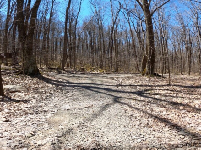 Mt. Streams Trail Tour - Mt. Streams to Aukerman Rd.