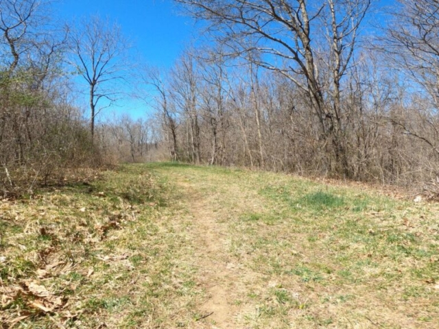 Mt. Streams Trail Tour - Grassy Area Just After Aukerman