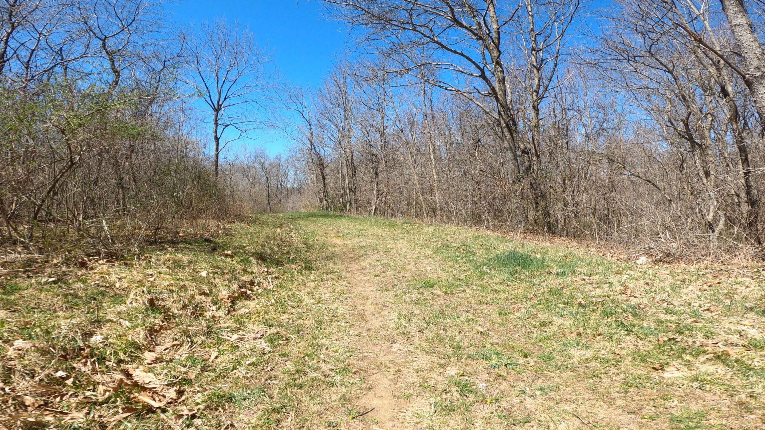 Mt. Streams Trail Tour - Grassy Area Just After Aukerman