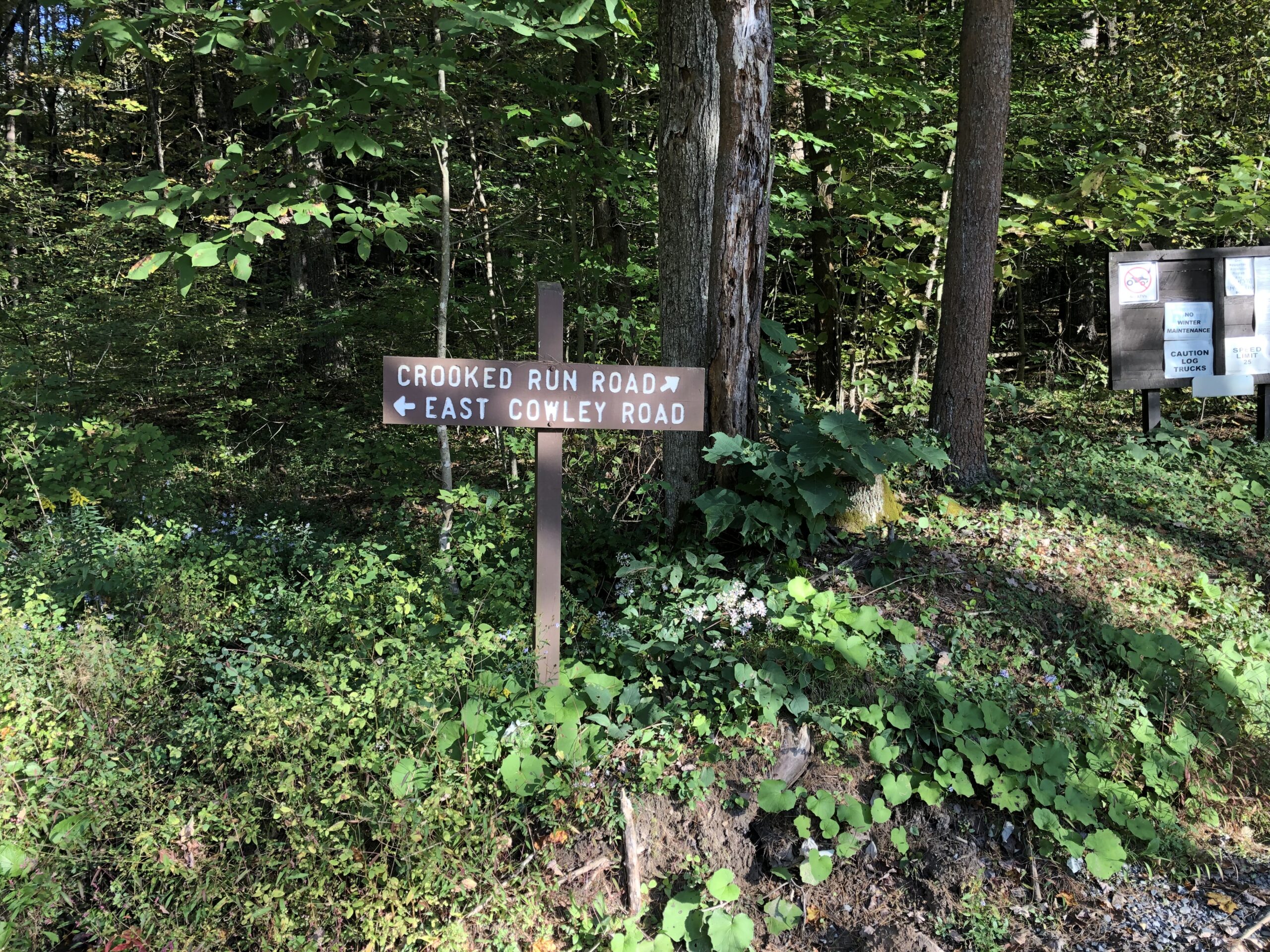 PLR - Sizerville - Elk State Forest - #16- Sign marks the beginning of an AWESOME descent.