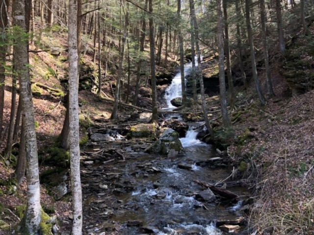 Public Lands Ride - 2021 - Loyalsock State Forest - Worlds End State Park - Waterfall from Double Run on Mineral Springs Road