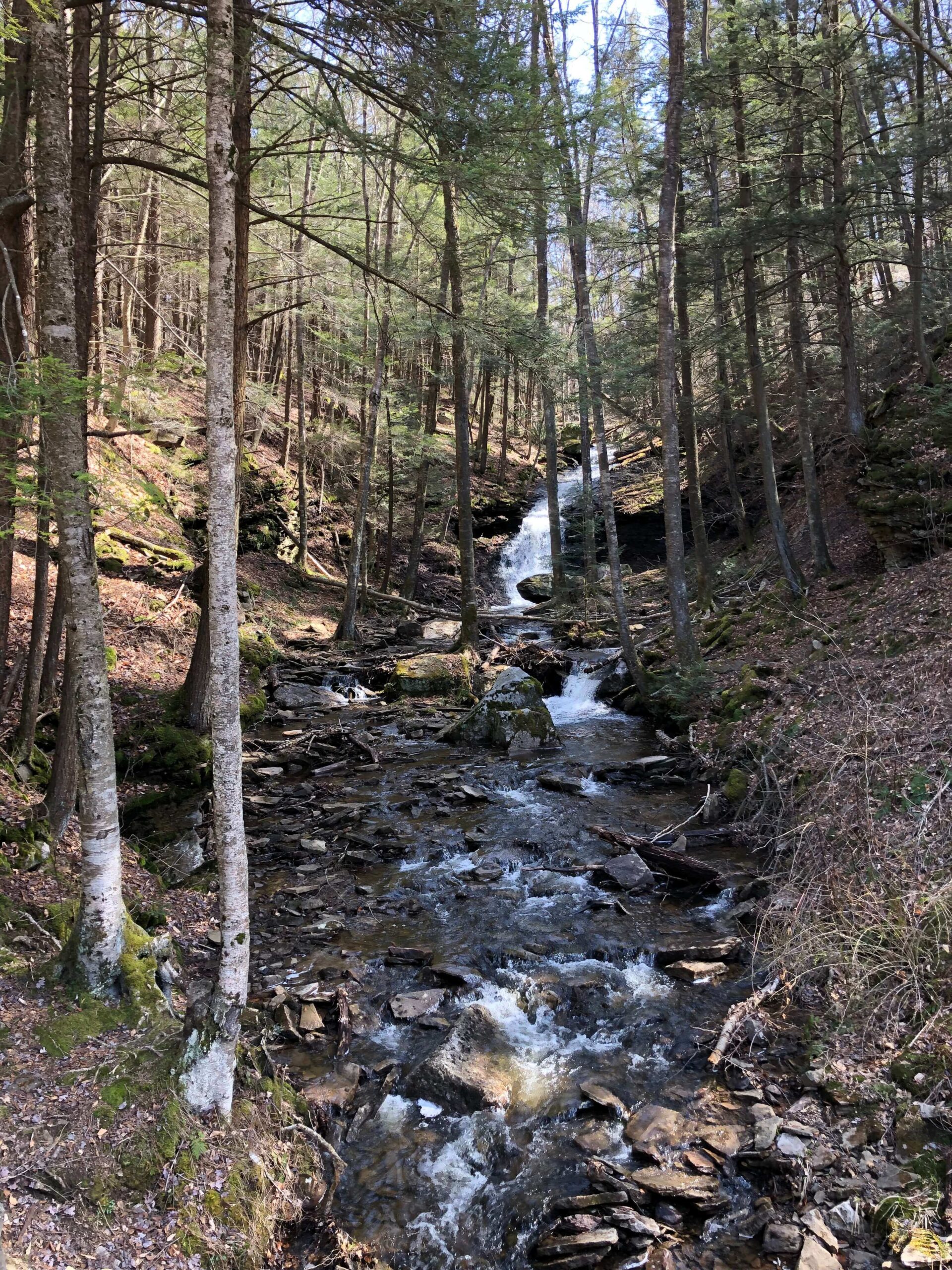 Public Lands Ride - 2021 - Loyalsock State Forest - Worlds End State Park - Waterfall from Double Run on Mineral Springs Road