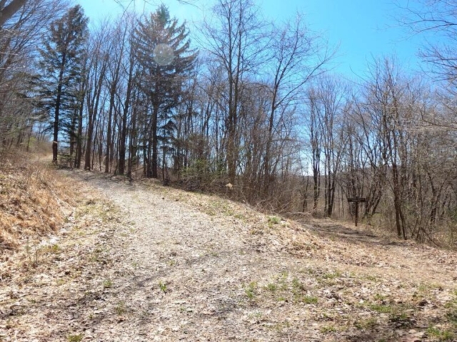 Mt. Streams Trail Tour - Mt. Streams Detour Across Route 381 to Blair Bros Rail Grade