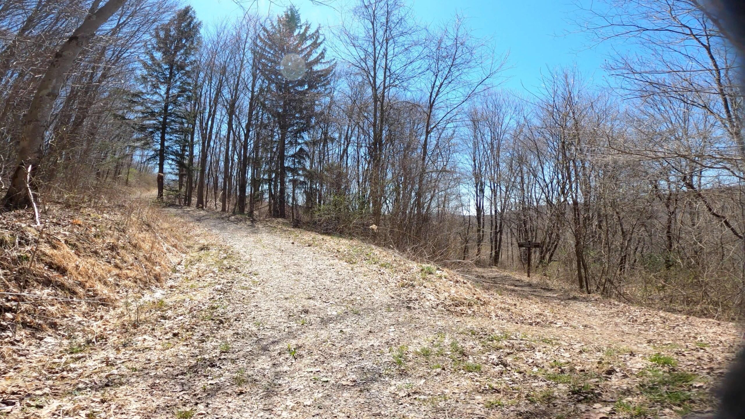 Mt. Streams Trail Tour - Mt. Streams Detour Across Route 381 to Blair Bros Rail Grade