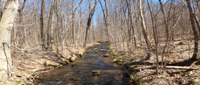 Mt. Streams Trail Tour