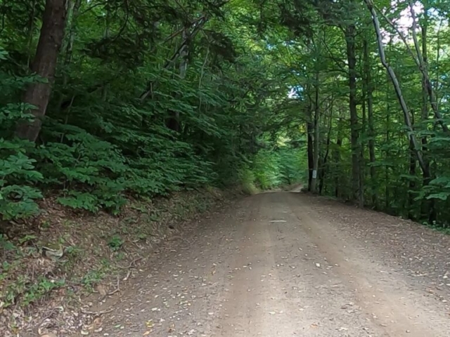 Susquehannock State Forest / Lyman Run State Park Gravel Route - Terrain #2 - Start of Rock Run Rd.