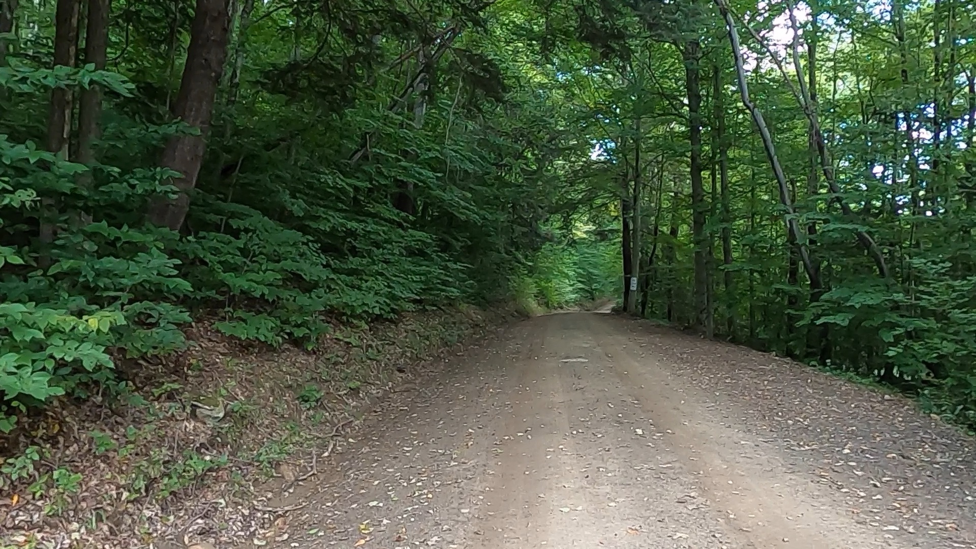 Susquehannock State Forest / Lyman Run State Park Gravel Route - Terrain #2 - Start of Rock Run Rd.