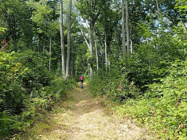 2022 Laurel Classic MTB Challenge - #10 - Log Slide Trail A