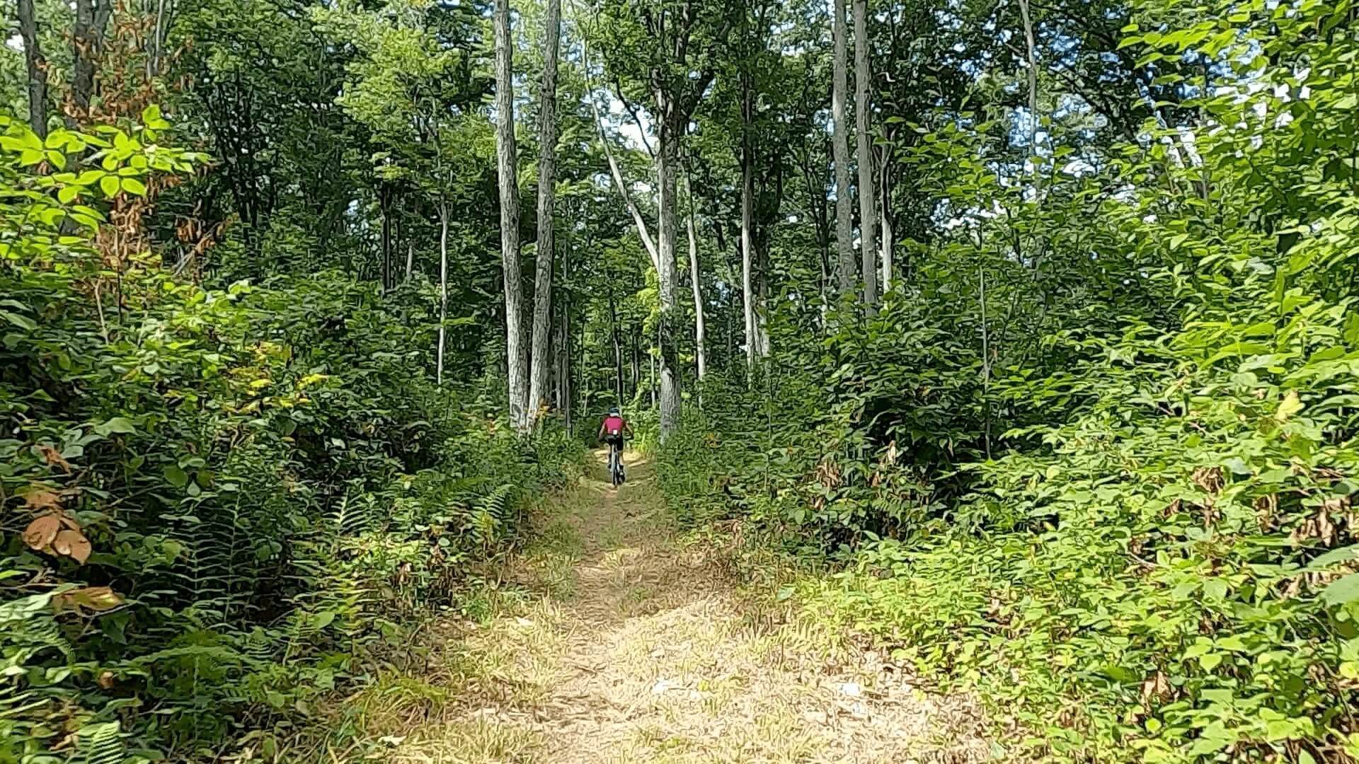 2022 Laurel Classic MTB Challenge - #10 - Log Slide Trail A