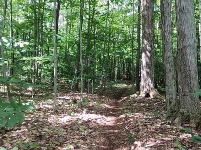 2022 Laurel Classic MTB Challenge - #11 - Log Slide Trail B