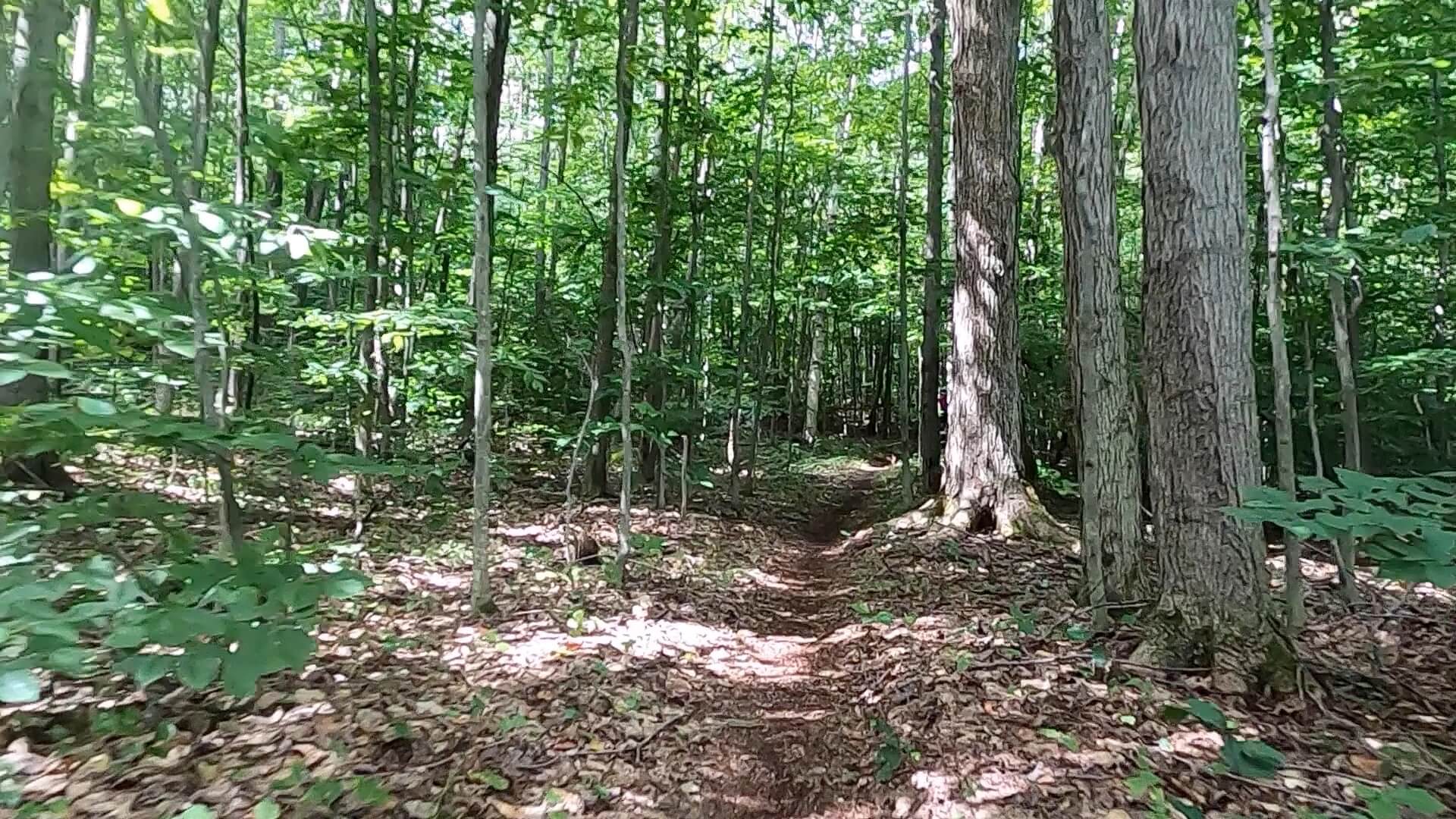 2022 Laurel Classic MTB Challenge - #11 - Log Slide Trail B