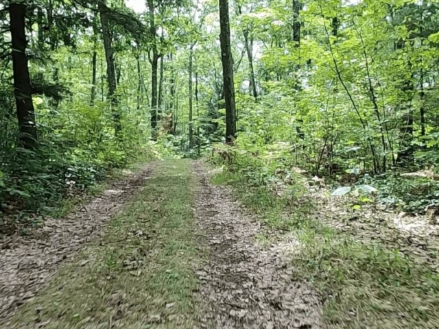 2022 Laurel Classic MTB Challenge - #5 - Stone Road Trail