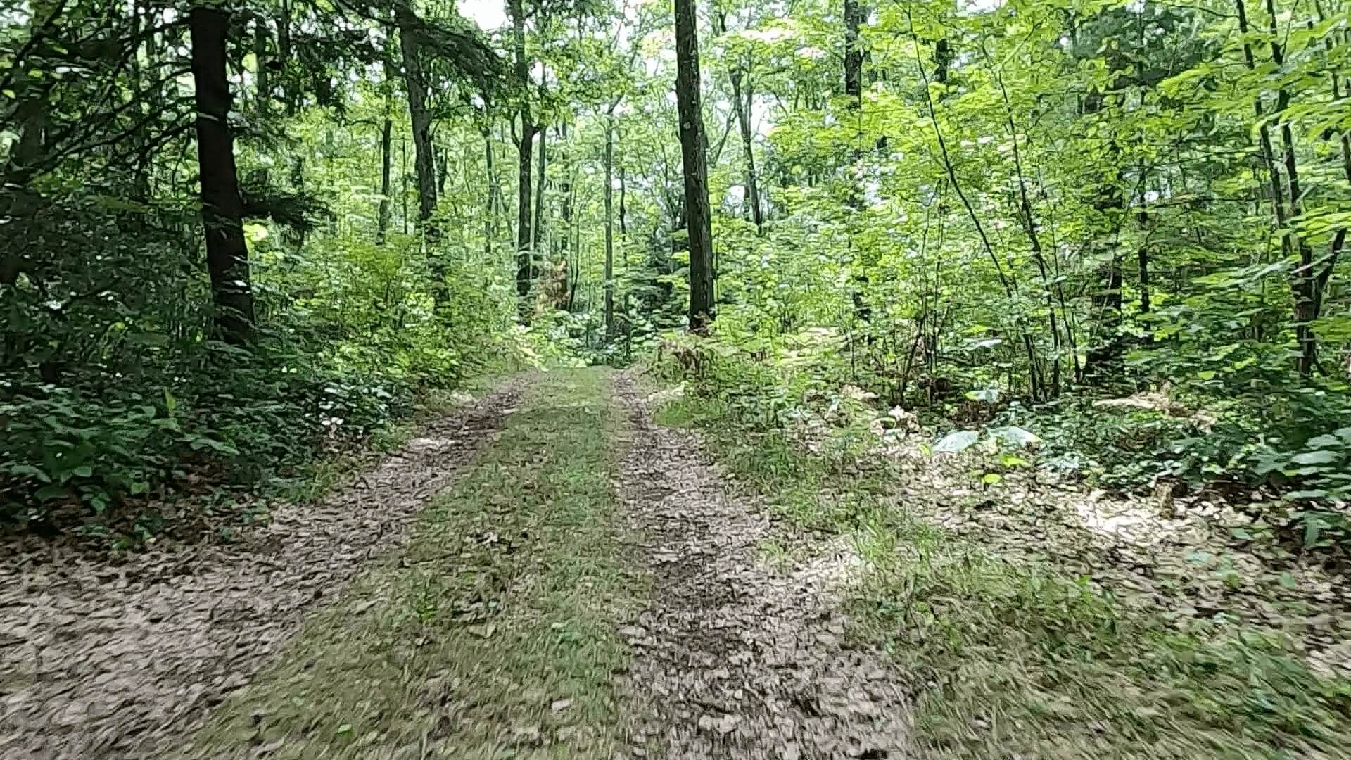 2022 Laurel Classic MTB Challenge - #5 - Stone Road Trail