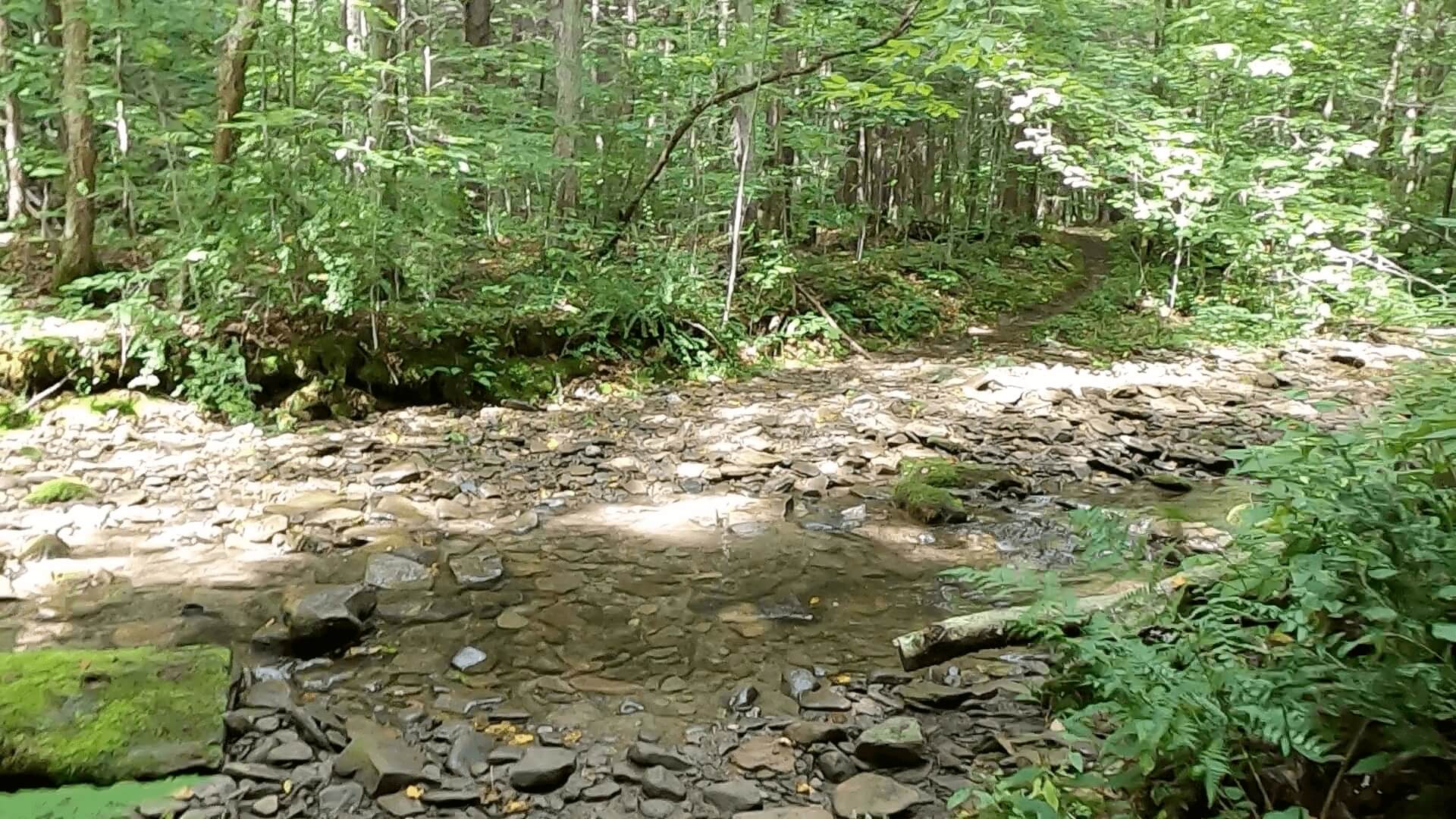 2022 Laurel Classic MTB Challenge - #7 - Straight Run Trail B