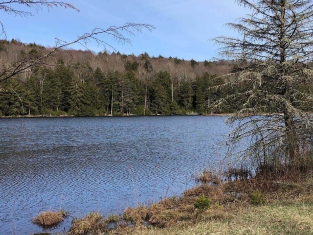 Public Lands Ride - 2021 - Loyalsock State Forest - Worlds End State Park - Deer Lake