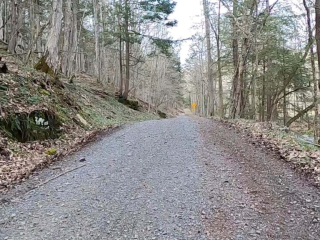 Public Lands Ride - 2021 - Loyalsock State Forest - Worlds End State Park - Rock Run Road - Continuation of Climb