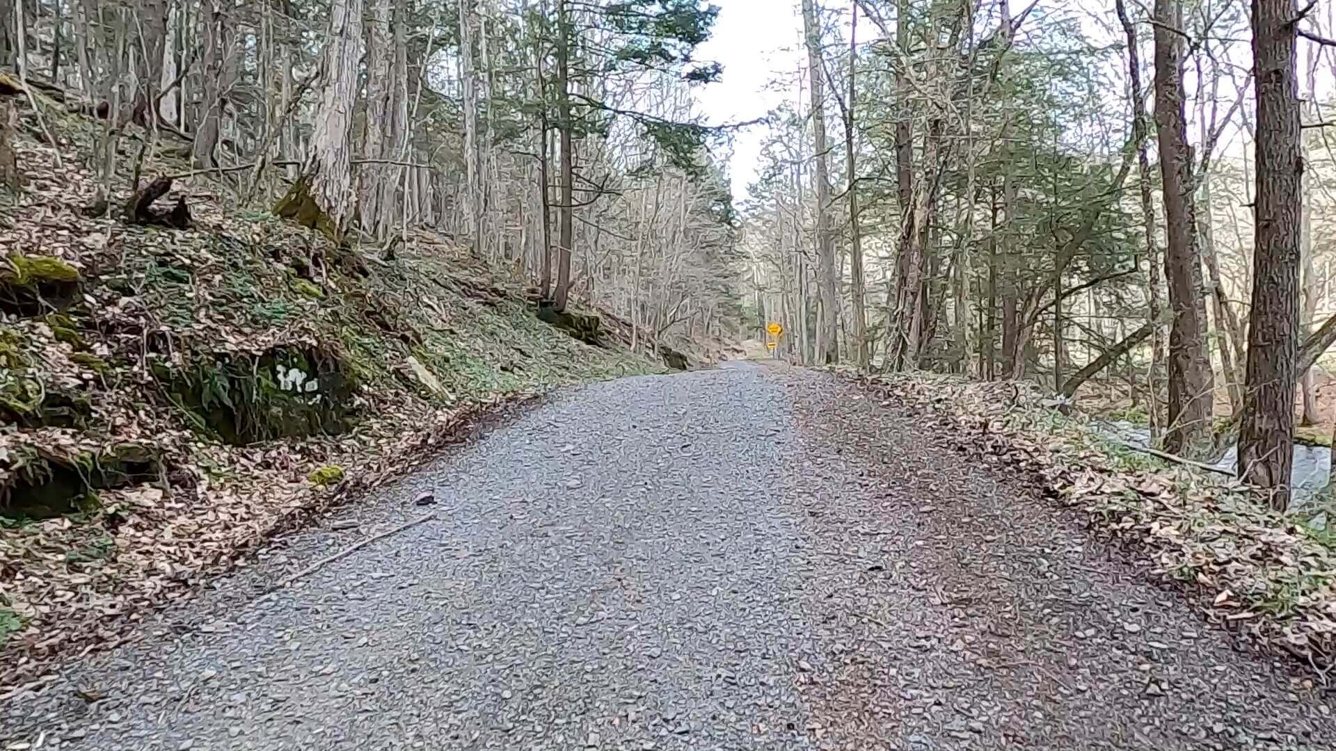 Public Lands Ride - 2021 - Loyalsock State Forest - Worlds End State Park - Rock Run Road - Continuation of Climb