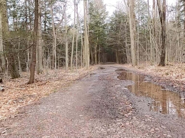 Public Lands Ride - 2021 - Loyalsock State Forest - Worlds End State Park - Path Toward Conservancy Narrow Gauge Rail Trail