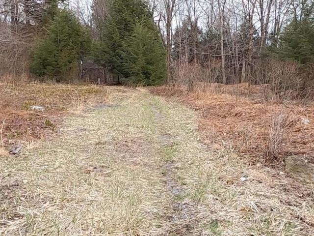 Public Lands Ride - 2021 - Loyalsock State Forest - Worlds End State Park - Bridle Trail #1