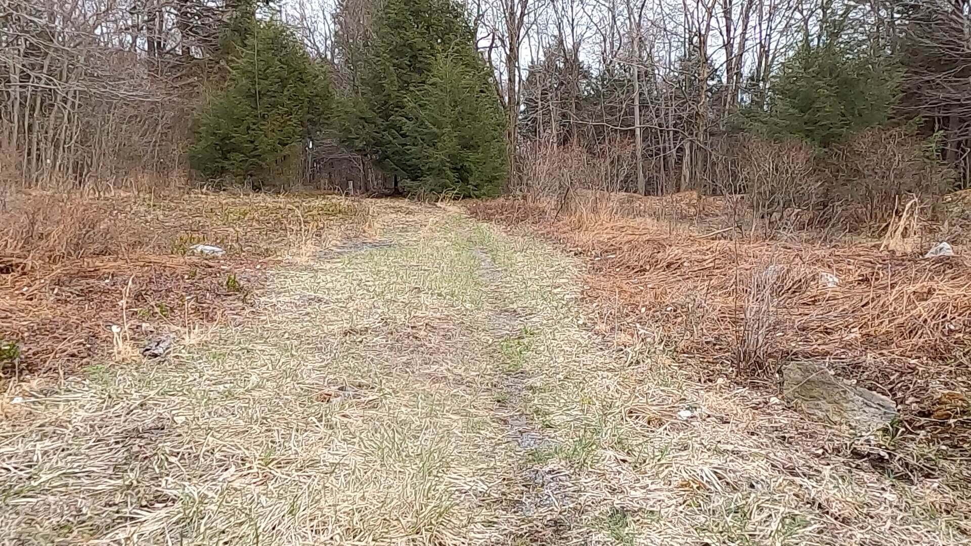 Public Lands Ride - 2021 - Loyalsock State Forest - Worlds End State Park - Bridle Trail #1