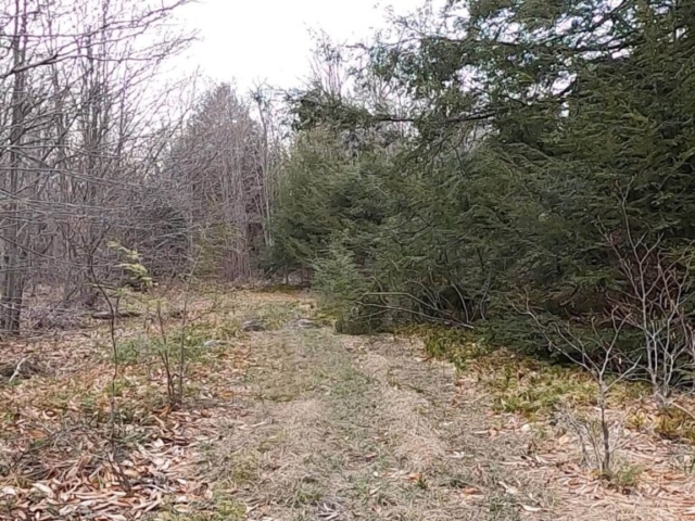 Public Lands Ride - 2021 - Loyalsock State Forest - Worlds End State Park - Bridle Trail #3