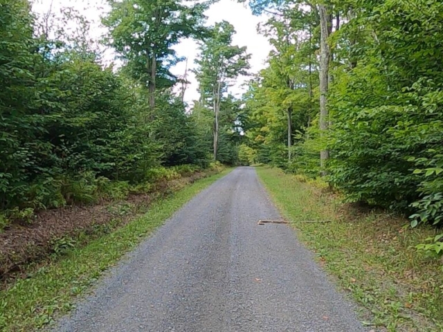 Susquehannock State Forest / Lyman Run State Park Gravel Route - Terrain #3 - Top of Rock Run Road