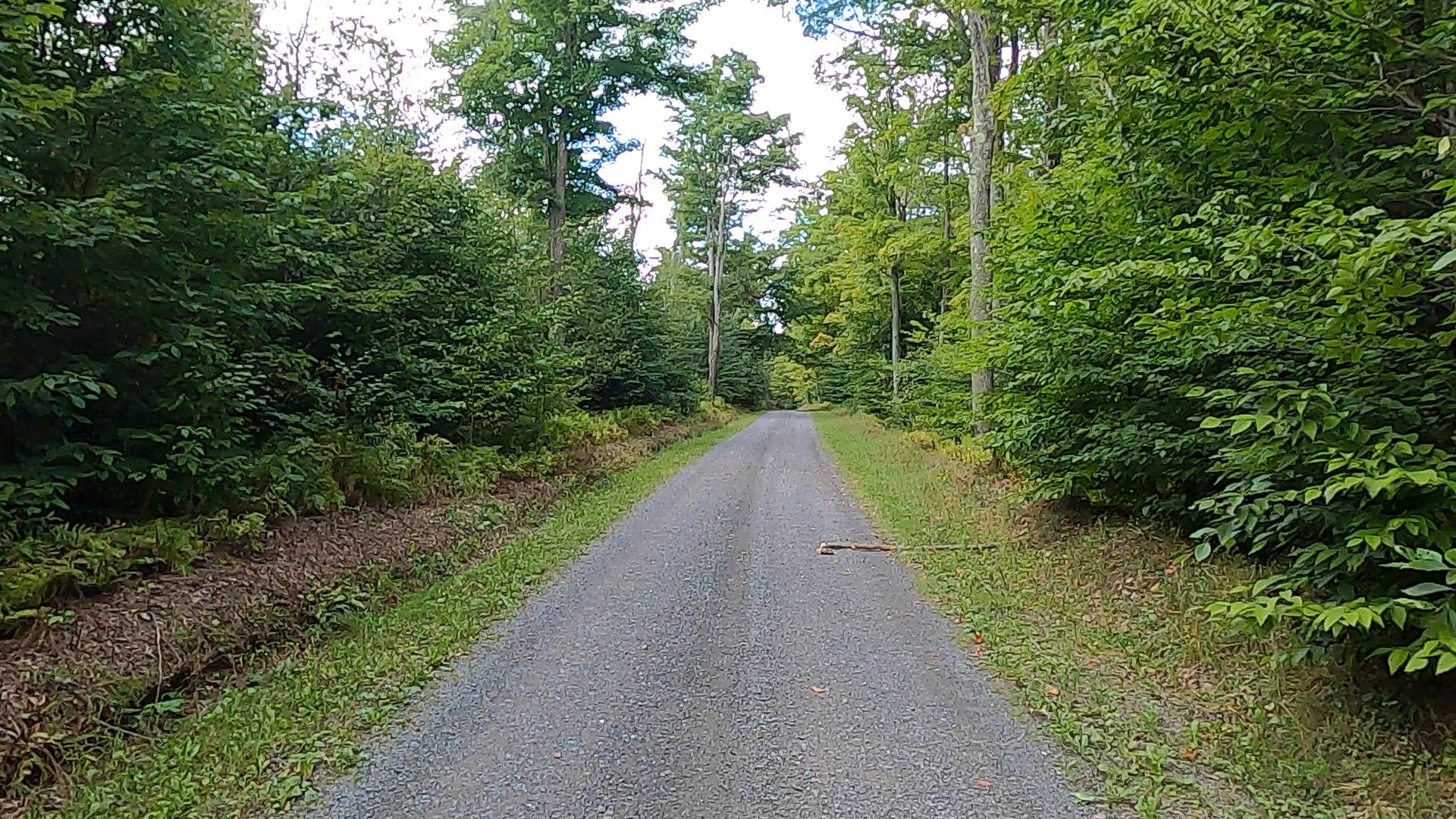 Susquehannock State Forest / Lyman Run State Park Gravel Route - Terrain #3 - Top of Rock Run Road