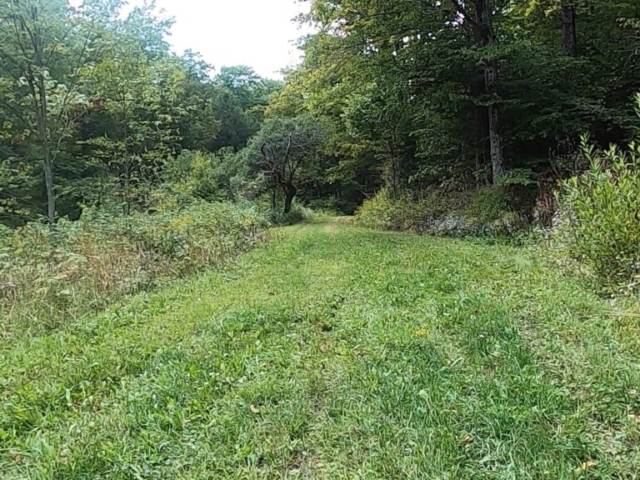 Susquehannock State Forest / Lyman Run State Park Gravel Route - Terrain #6 - Losey Trail