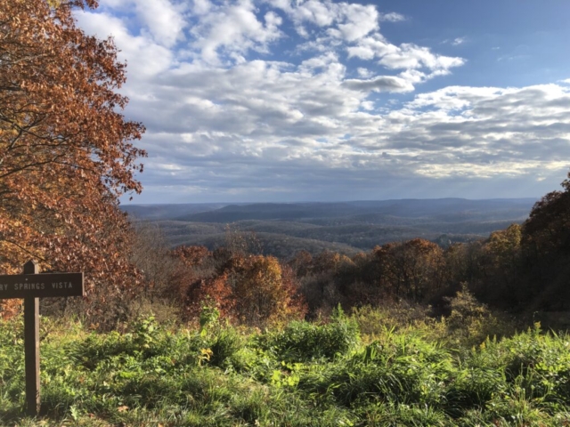 Cherry Springs Vista (a short detour from the route)