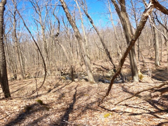 Mt. Streams Trail Tour - Indian Creek