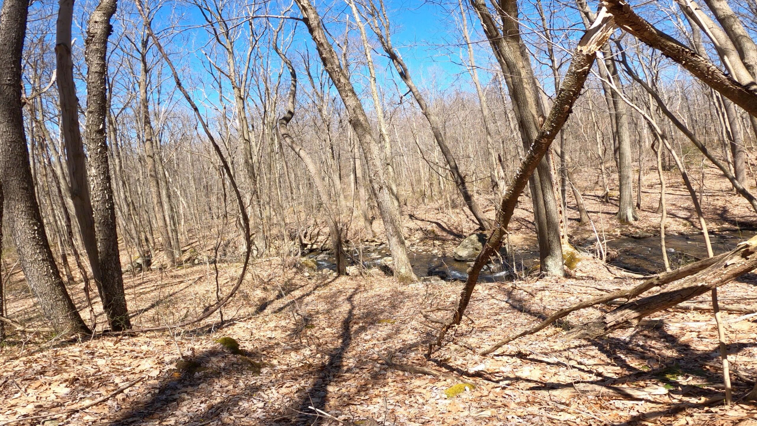 Mt. Streams Trail Tour - Indian Creek