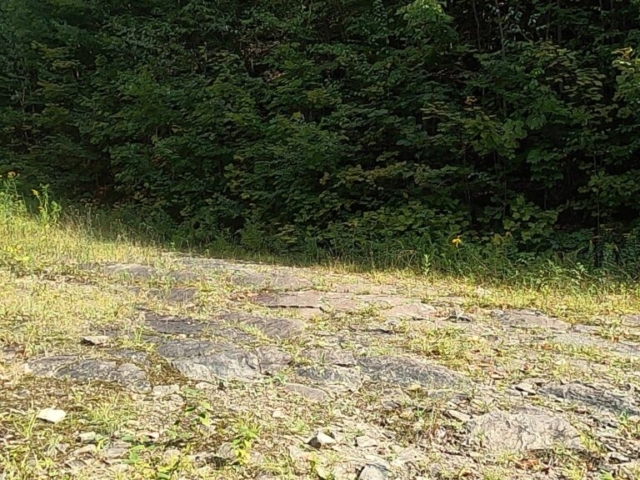 Susquehannock State Forest / Lyman Run State Park Gravel Route - Terrain #8 - Sidewinder Trail