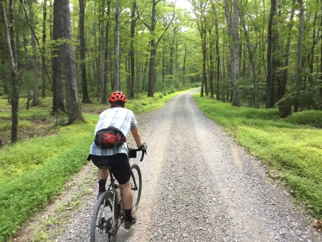 Bald Eagle Camping Trip 2019