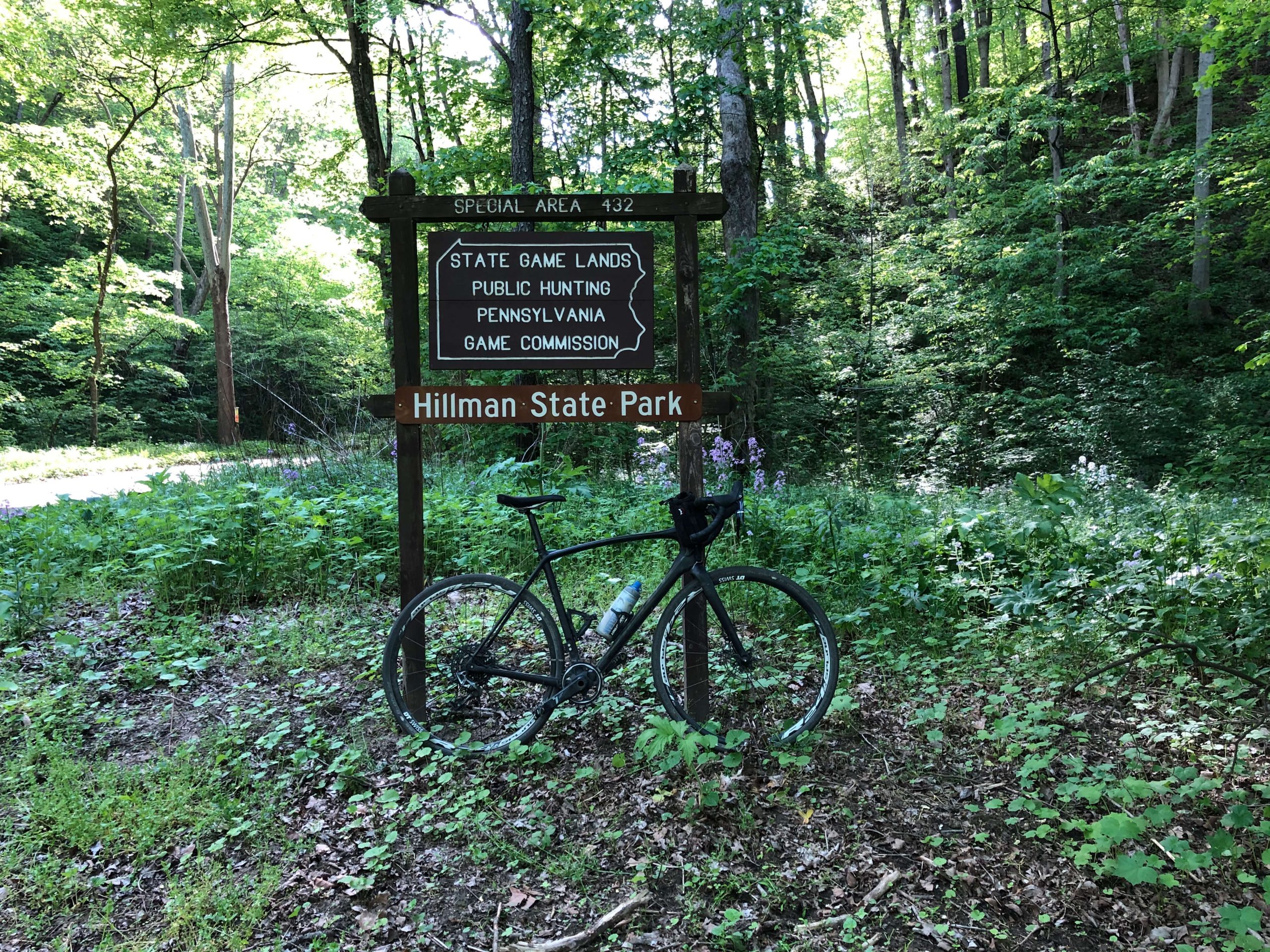 Bavington - Hillman State Park Sign