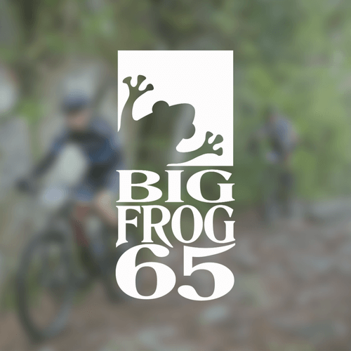 Big Frog 65 Logo