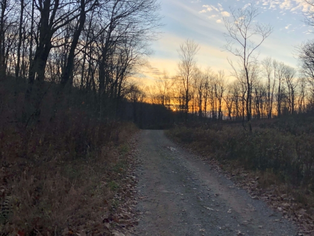 Laurel Highlands Gravel Routes Collection - Camp Run Road Sunset