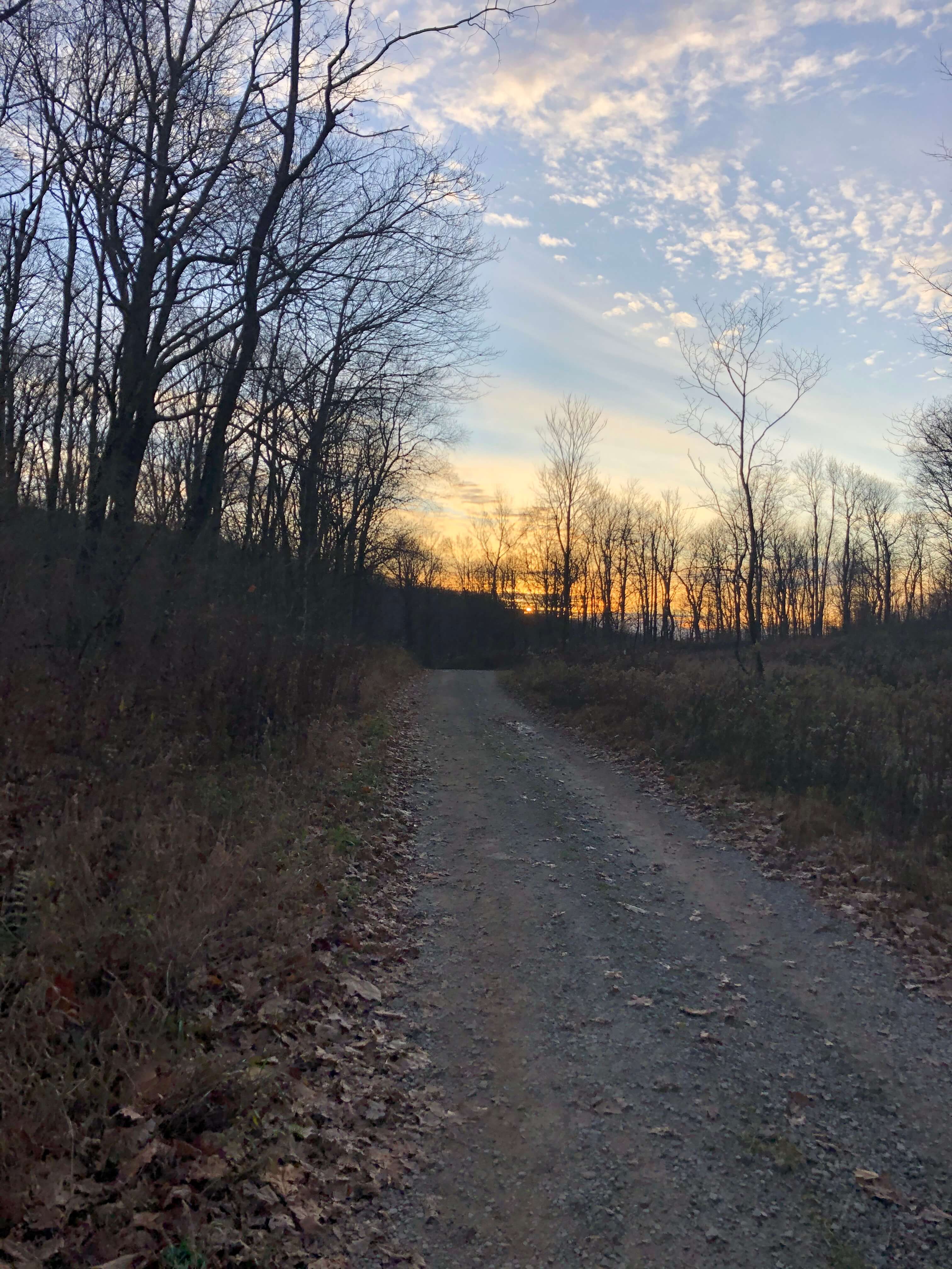 Laurel Highlands Gravel Routes Collection - Camp Run Road Sunset